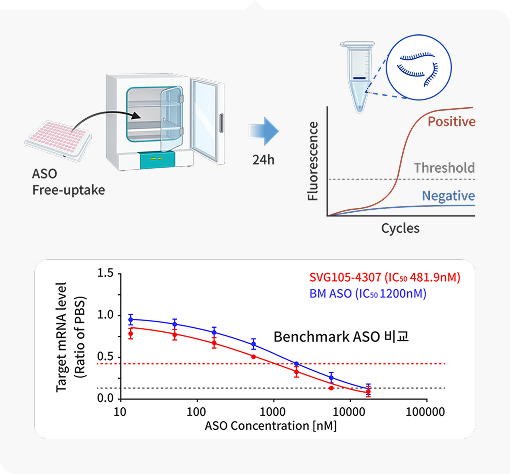 ASO HTS 스크리닝 관련 이미지